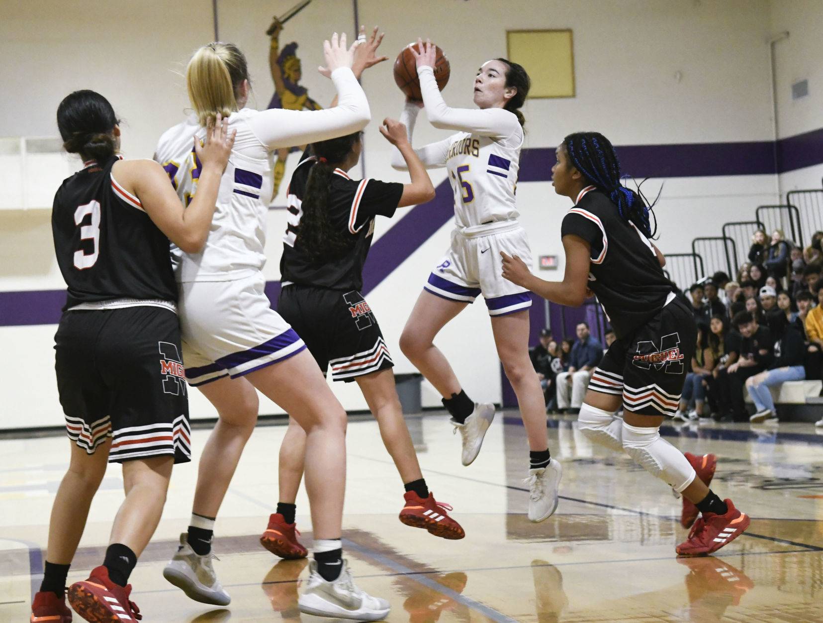 030520 Mt Miguel Righetti gbb 08.jpg